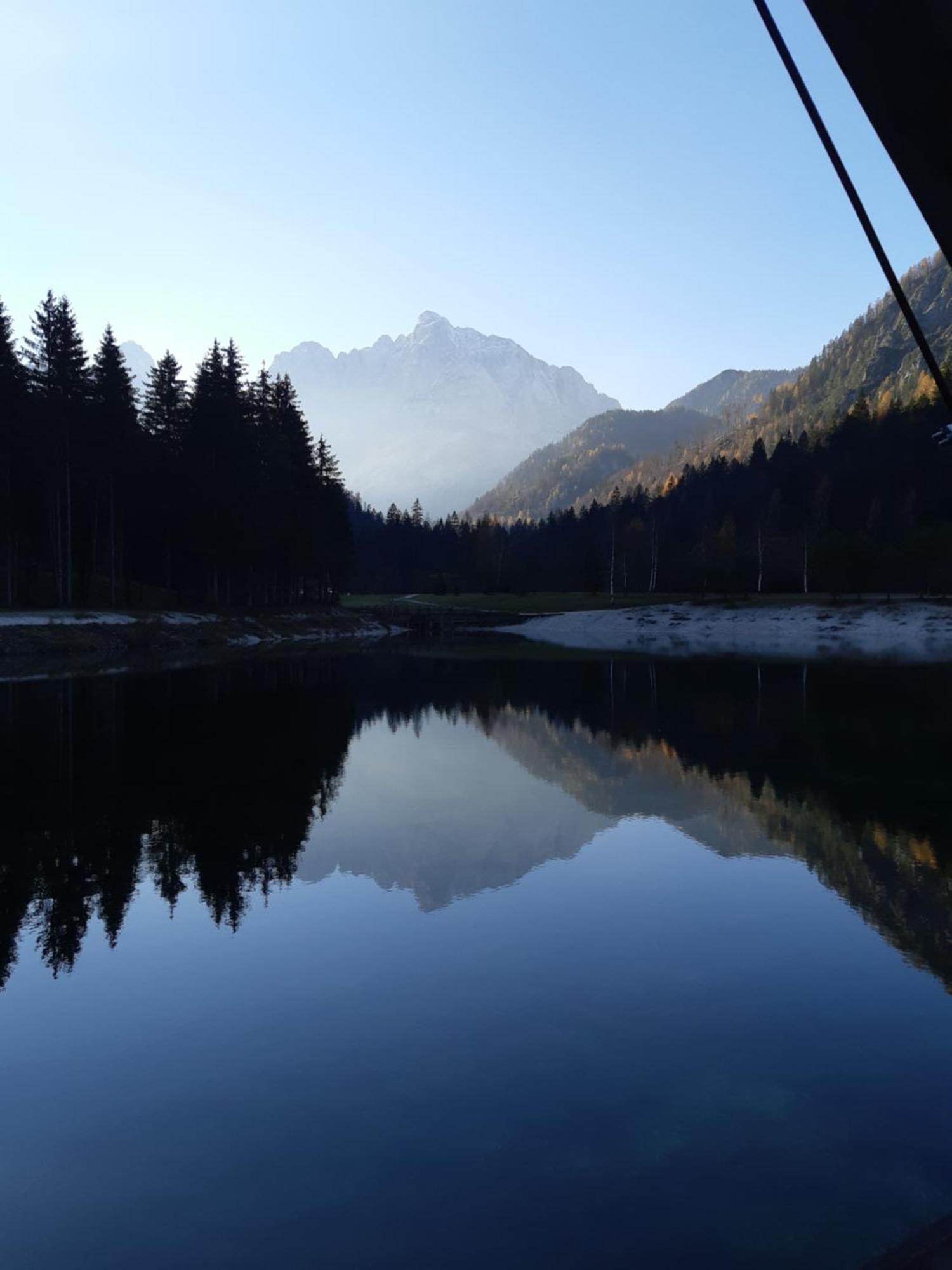 Alpska Roza